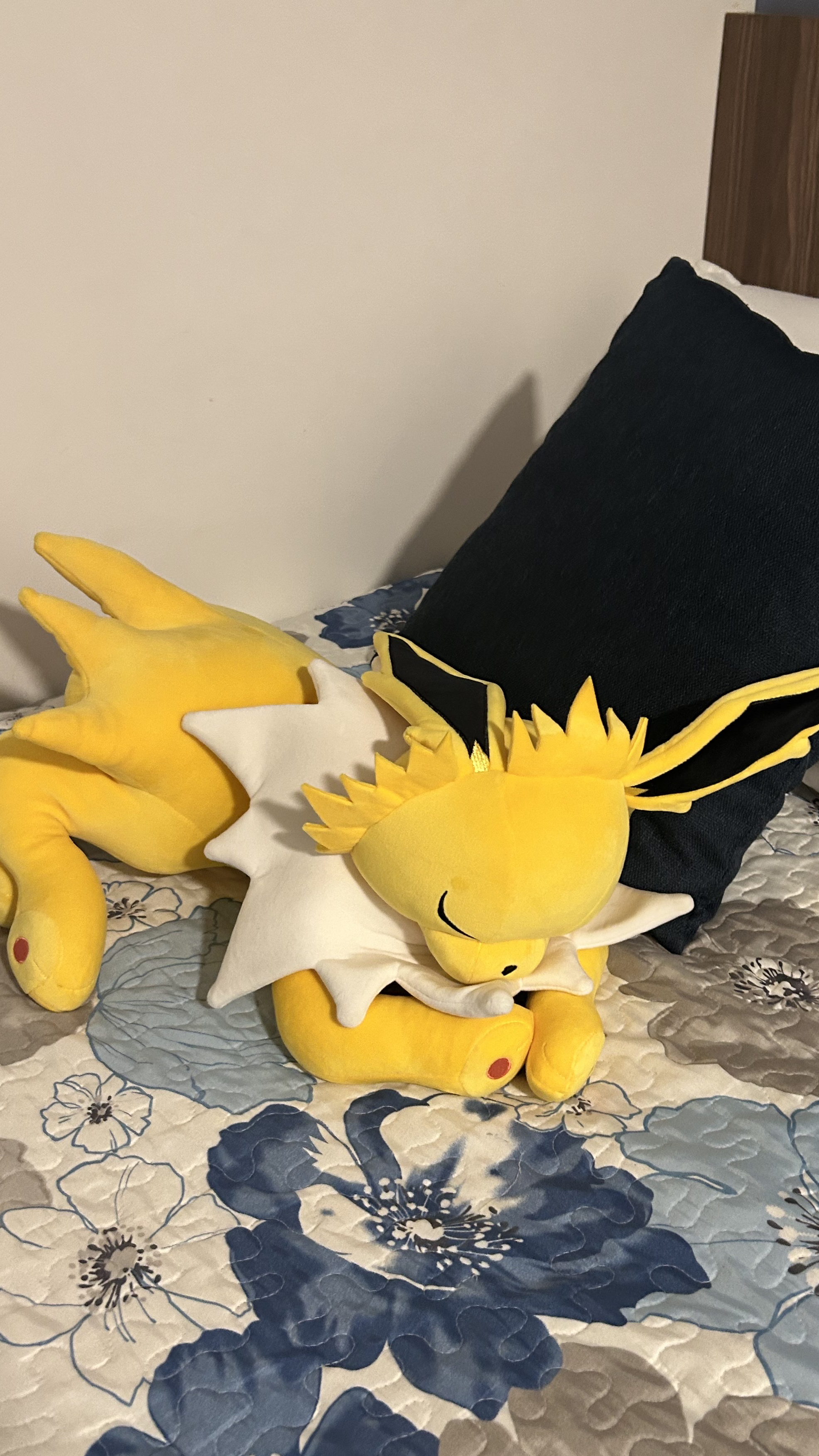 Charizard o Jolteon 25””