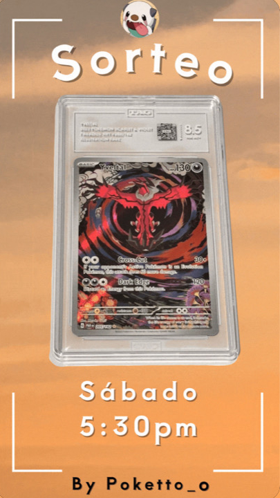 Yveltal TAG 8.5