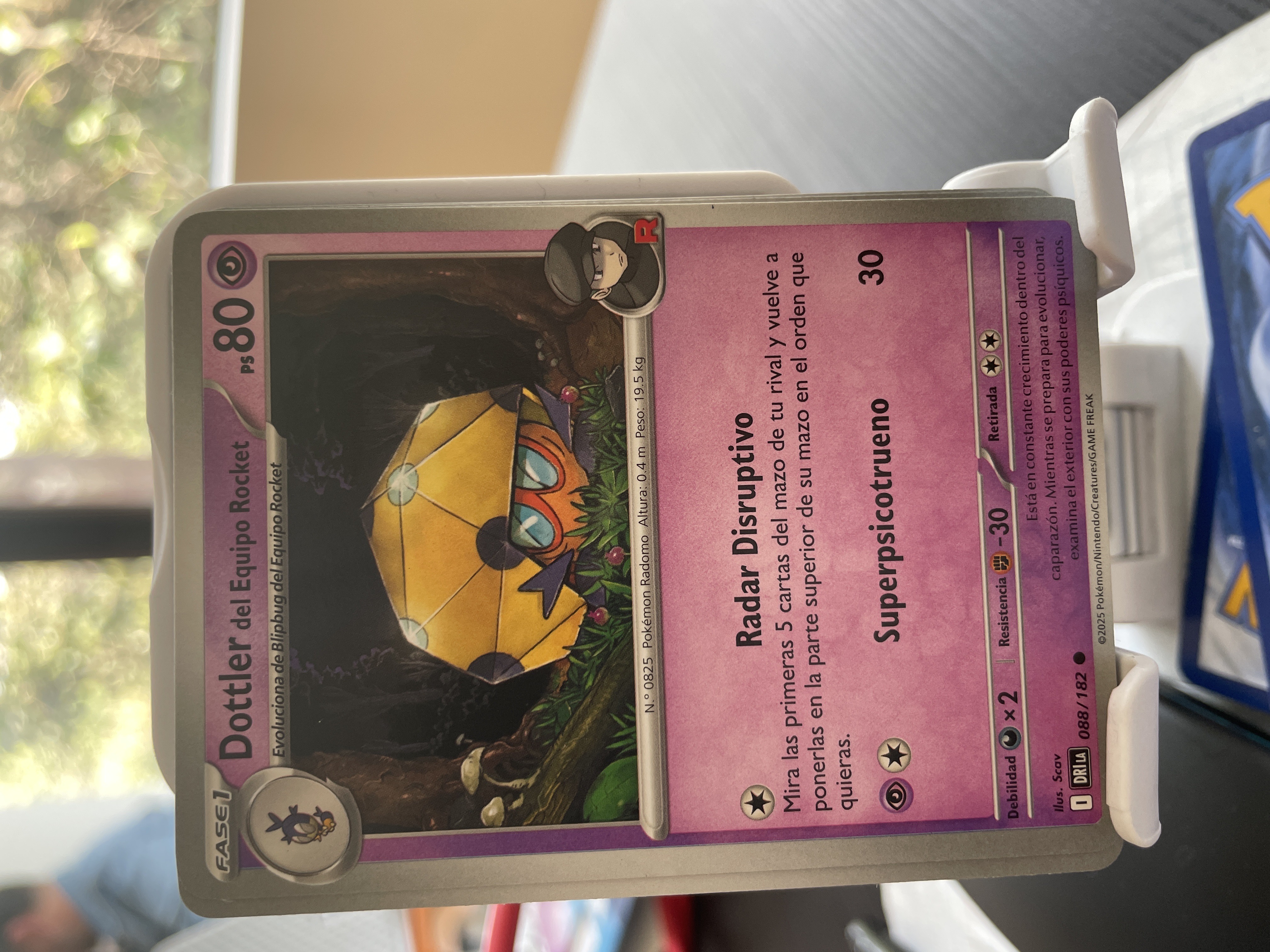 Dottler del Equipo Rocket