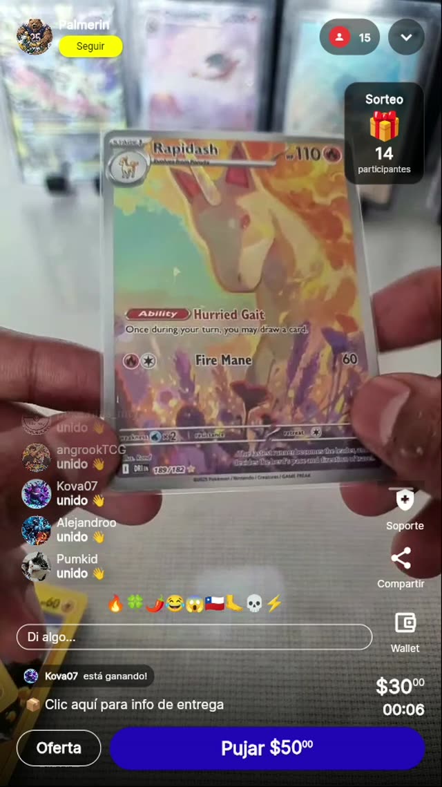Rapidash Illustration Rare Destined Rivals