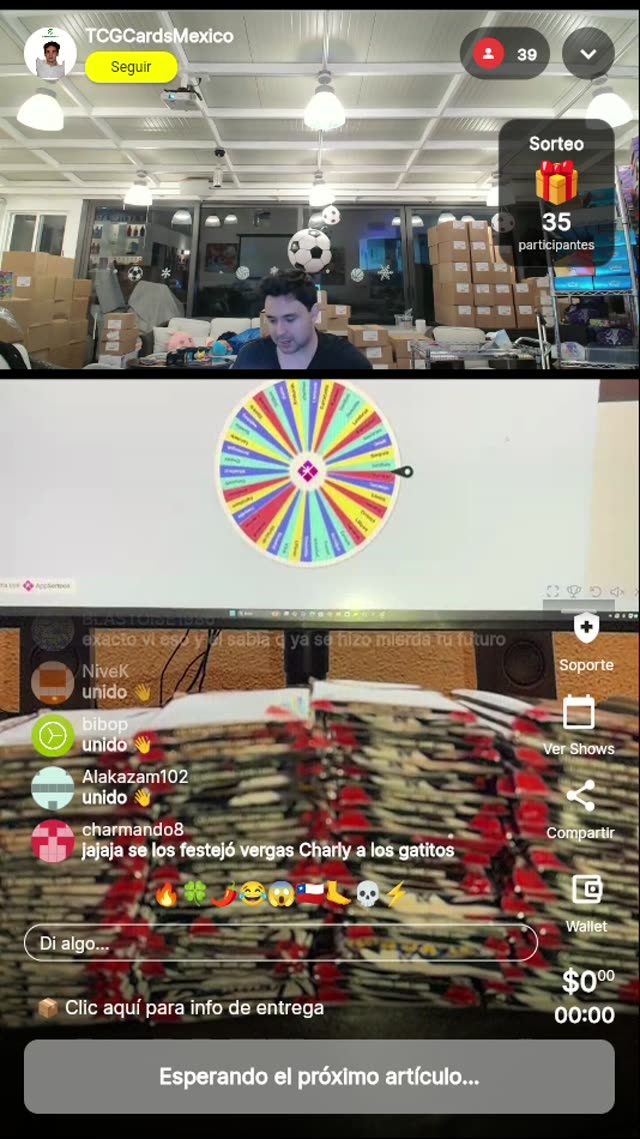 Pokémon Illustration Rare lote variado