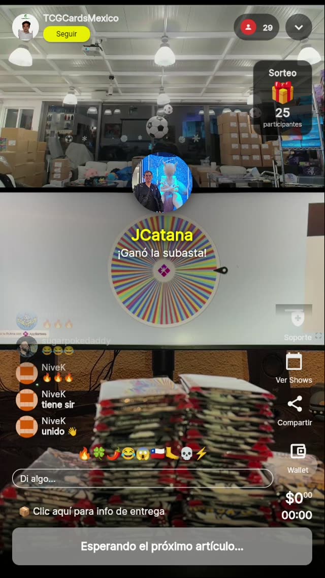 Pokémon Illustration Rare Subasta