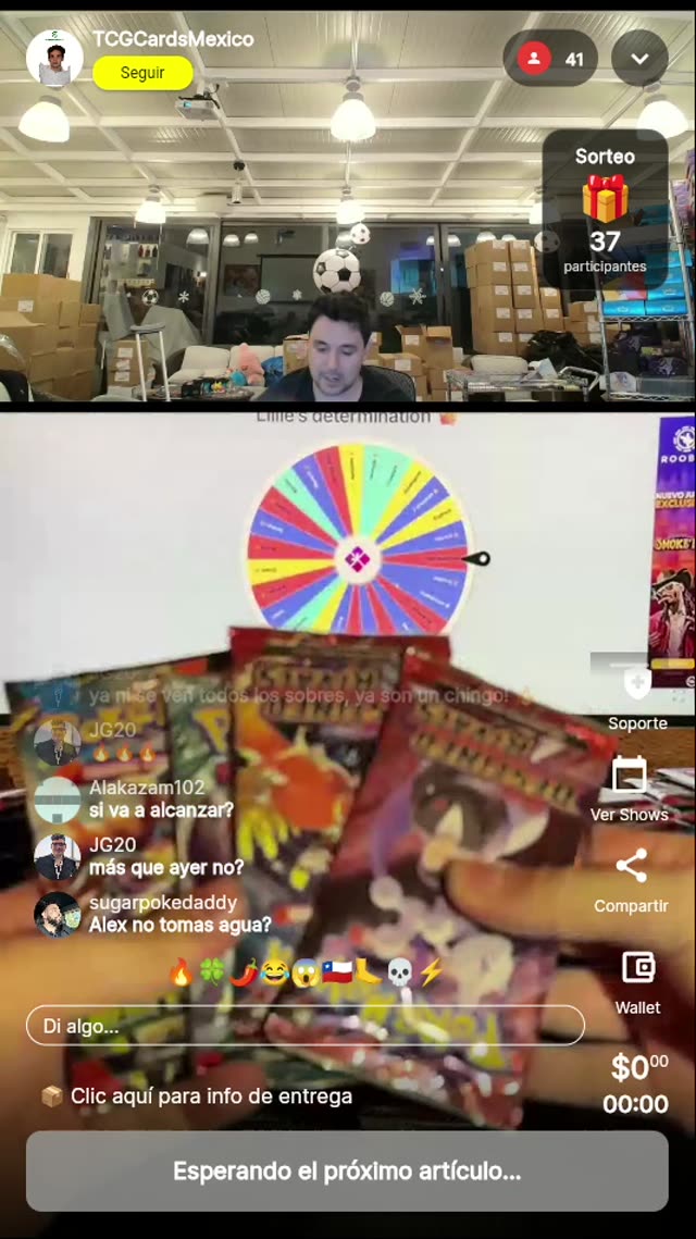 Pokémon Lillie's Determination