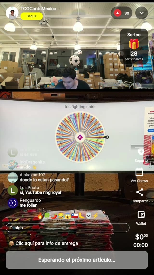 Pokémon Iris Fighting Spirit Full Art