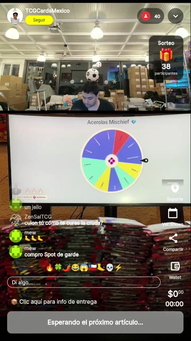 Carta Pokémon Acerola's Mischief