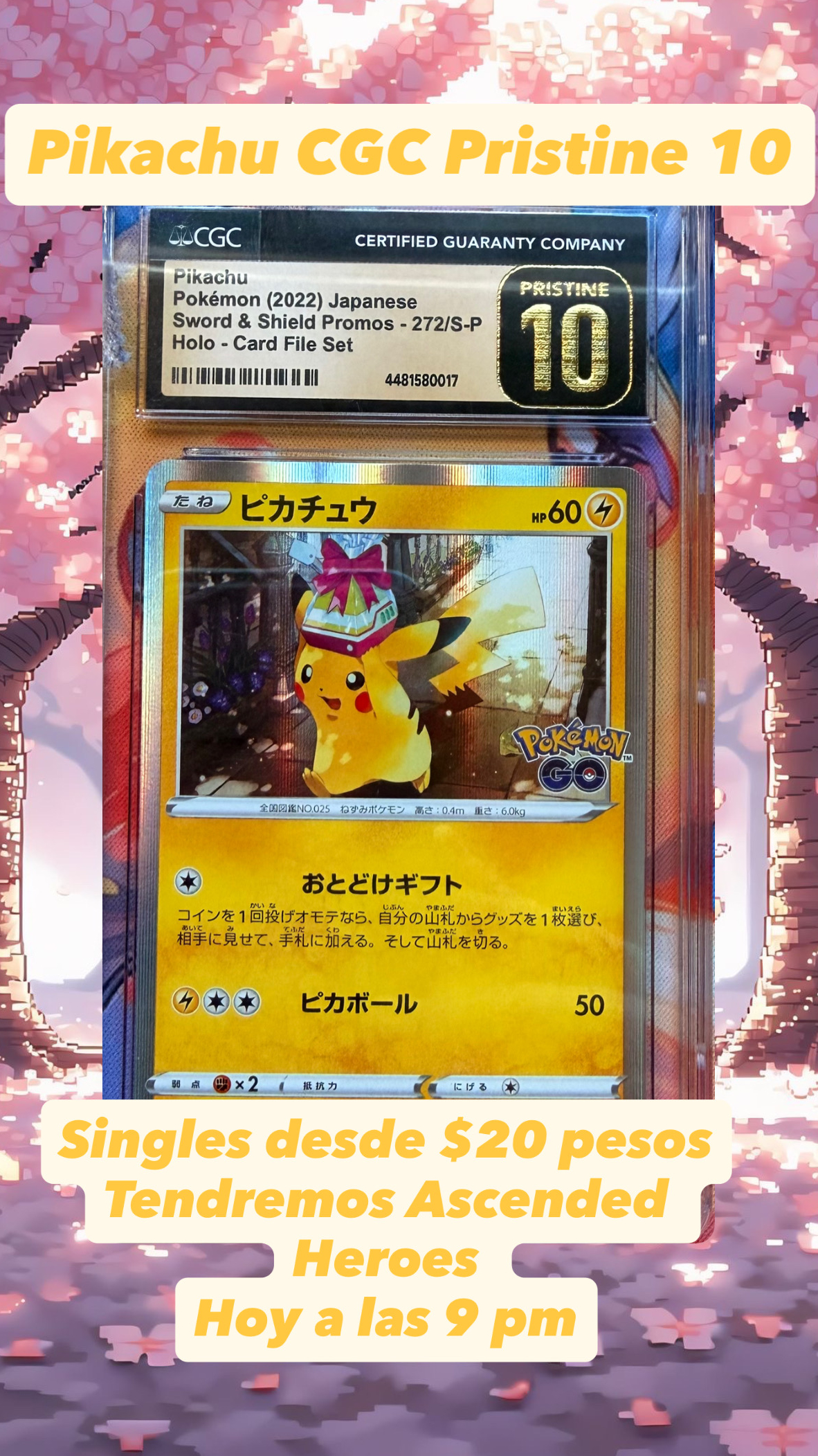 Pokemon y más… desde $20 pesos 