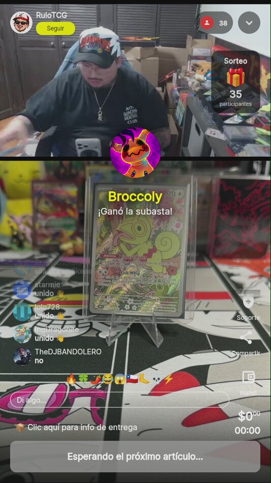 Kecleon Illustration Rare Pokémon