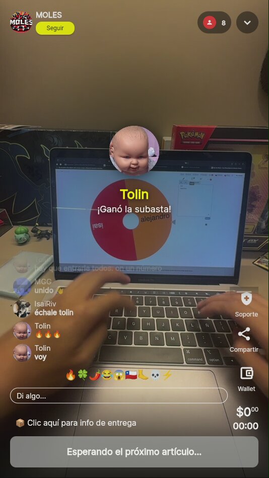 Lote de cartas Pokémon TCG