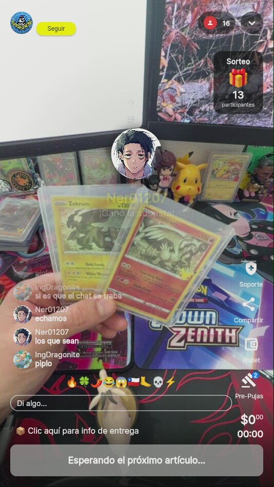 Reshiram y Zekrom Celebrations