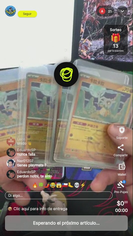 Pokémon Chino Holo Lote