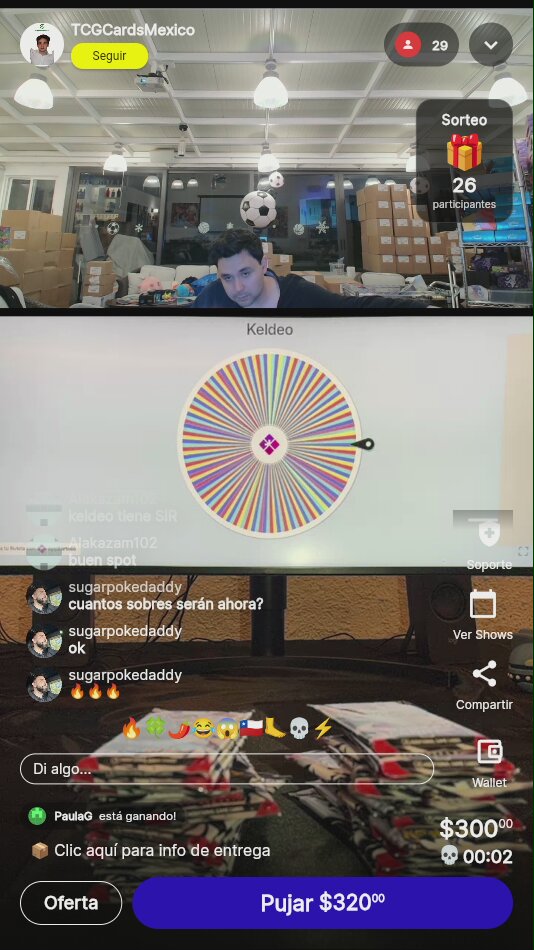 Spot Pokémon Illustration Arrow Sleeve