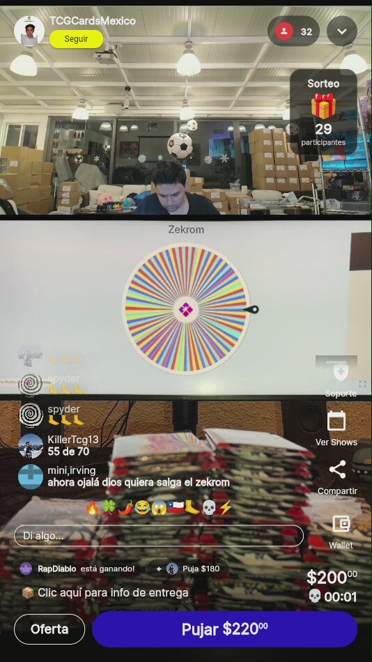 Carta Pokémon Zekrom