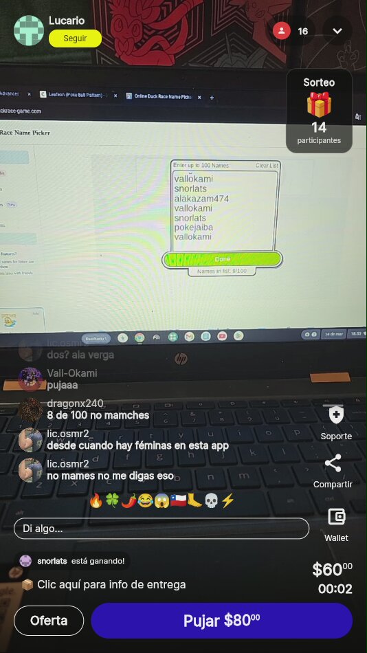 Sorteo Online Duck Race Name