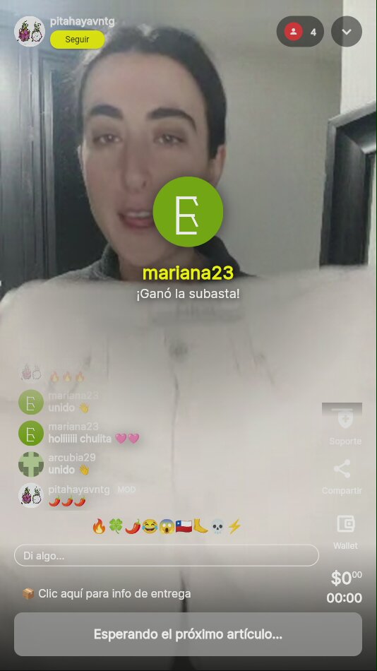 *✧divx virtual, subasta digital✧⁠*⁠。