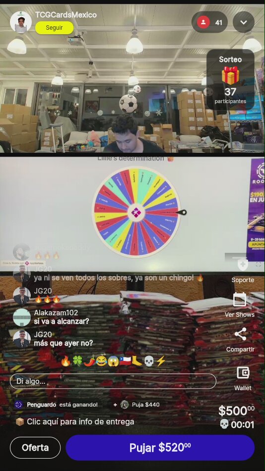 Pokémon Lillie's Determination