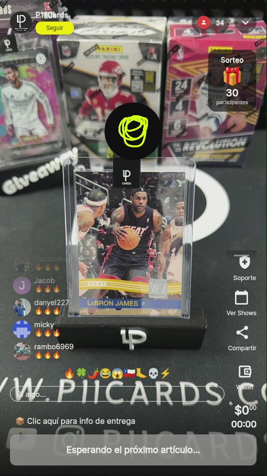 LeBron James Miami Heat Panini
