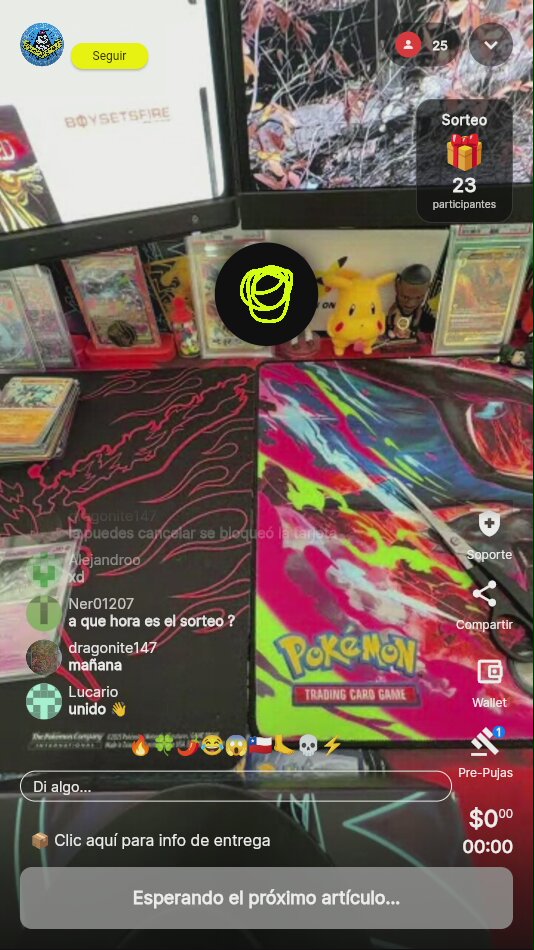 Pokémon TCG IBI Prismatic Divider