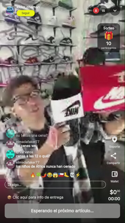 Lote de tenis variados