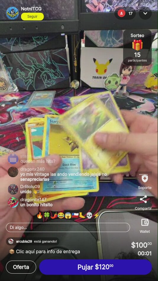 Lote Vintage de Pokémon