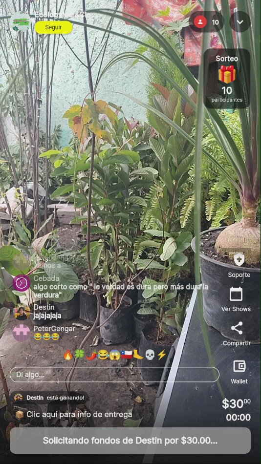 PLANTA DESDE $20 GRAN MARATÓN 