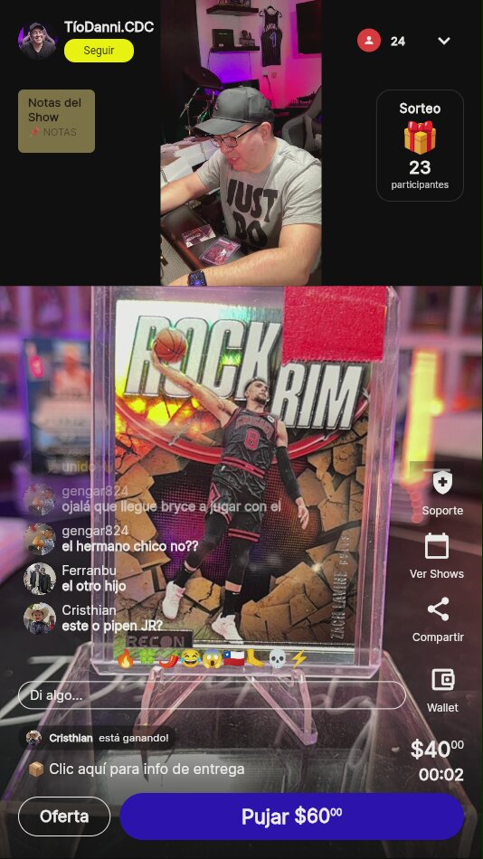 Zach LaVine Rock the Rim