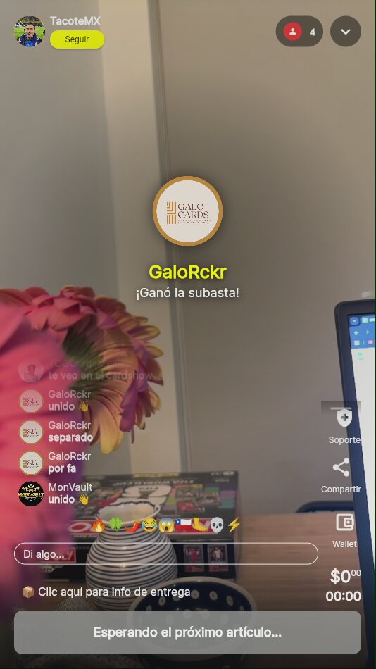 Ben Shelton firmado memorabilia deportiva